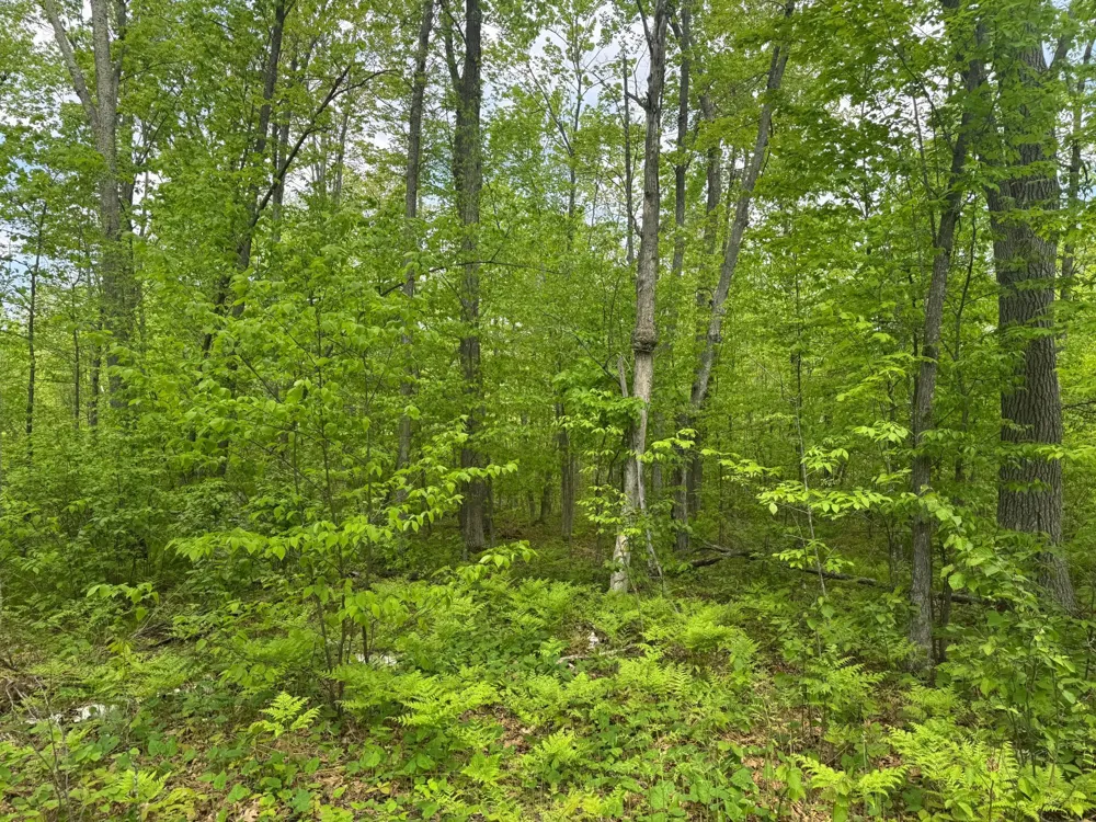 68xxx Old Ferry Road Hinckley, MN 55037