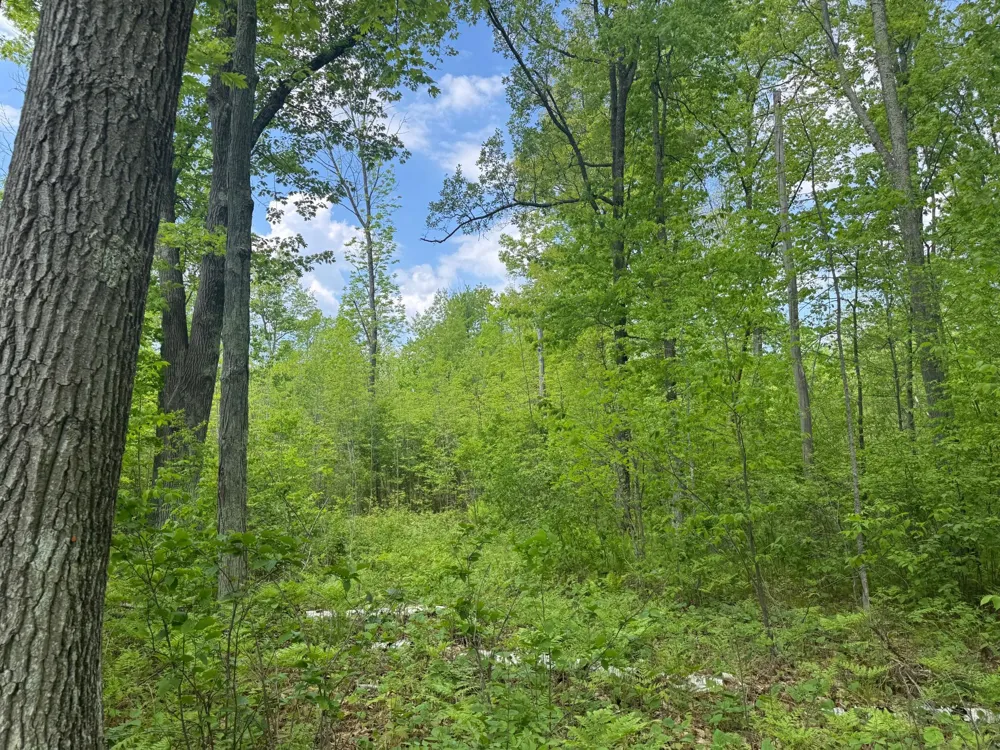 68xxx Old Ferry Road Hinckley, MN 55037