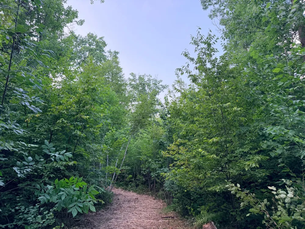 68xxx Old Ferry Road Hinckley, MN 55037