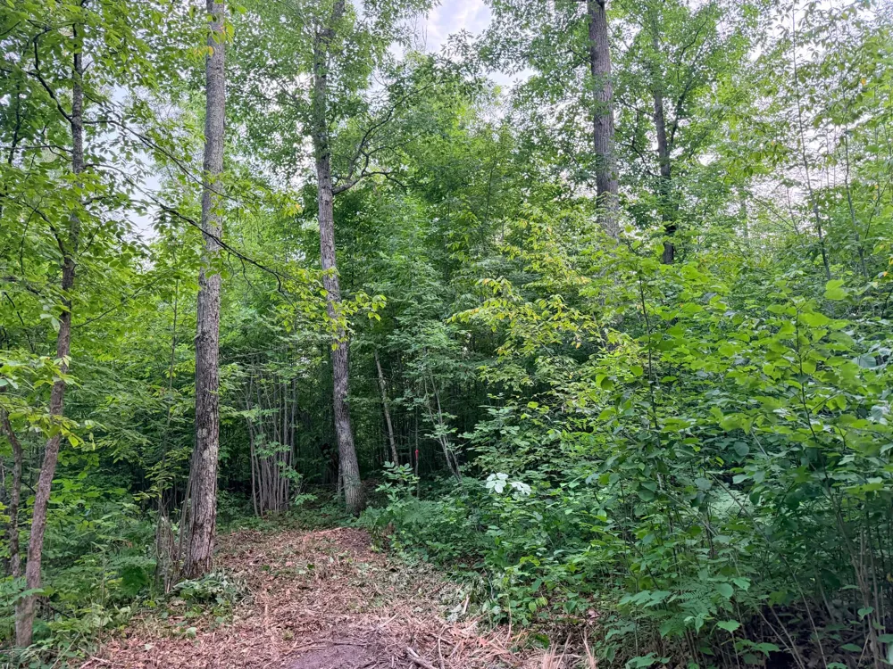 68xxx Old Ferry Road Hinckley, MN 55037