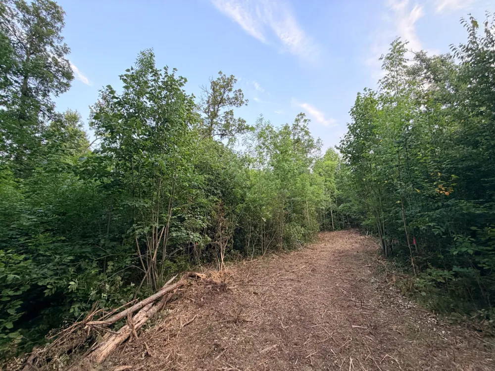 68xxx Old Ferry Road Hinckley, MN 55037