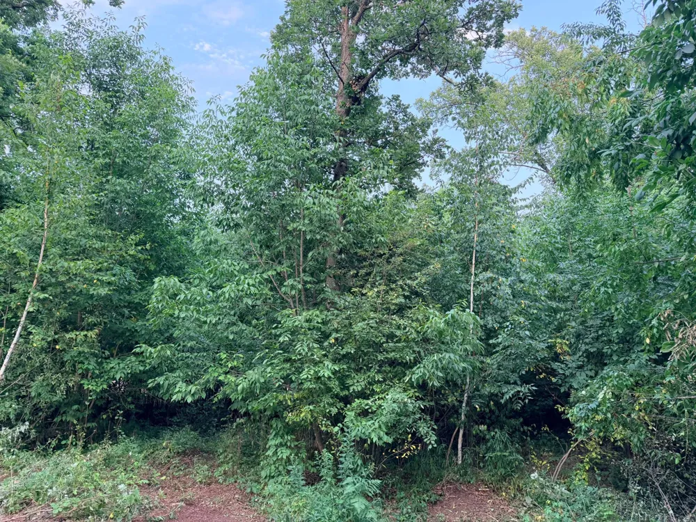 68xxx Old Ferry Road Hinckley, MN 55037