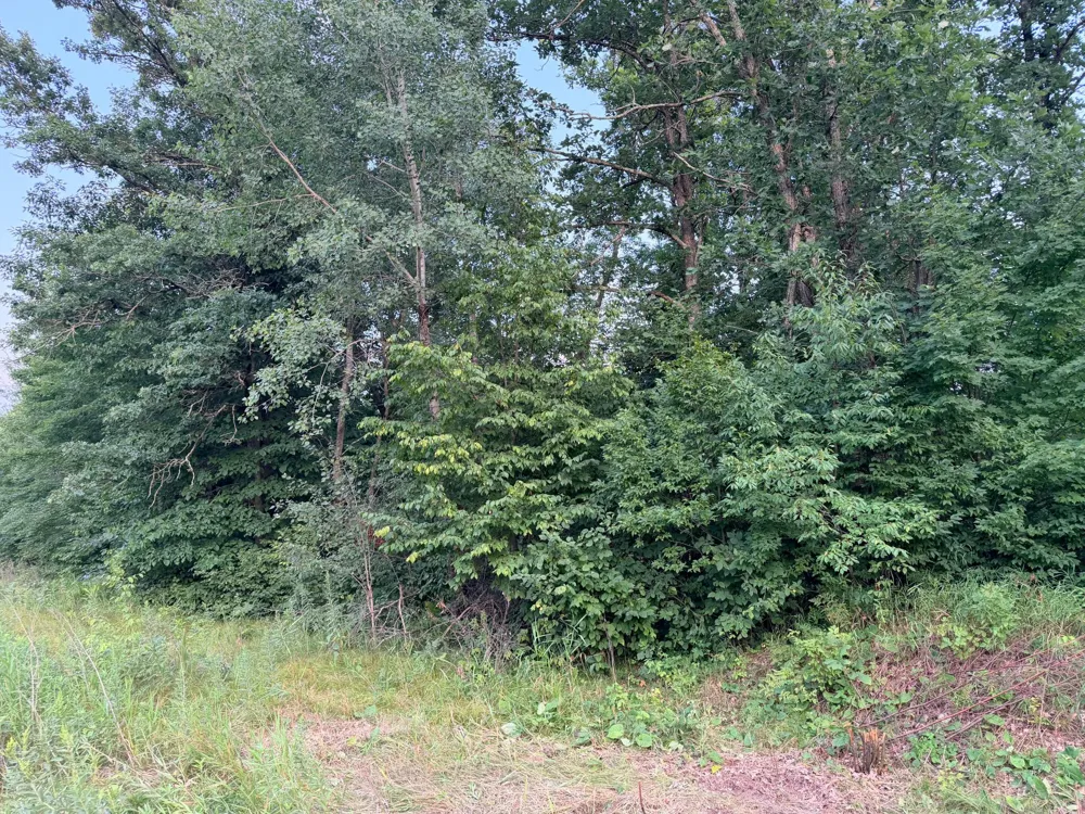 68xxx Old Ferry Road Hinckley, MN 55037