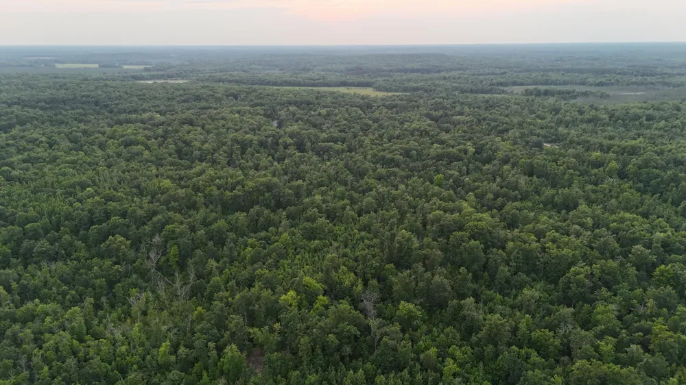 68xxx Old Ferry Road Hinckley, MN 55037