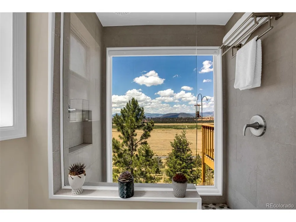 803 Bonell Drive Fairplay, CO 80440