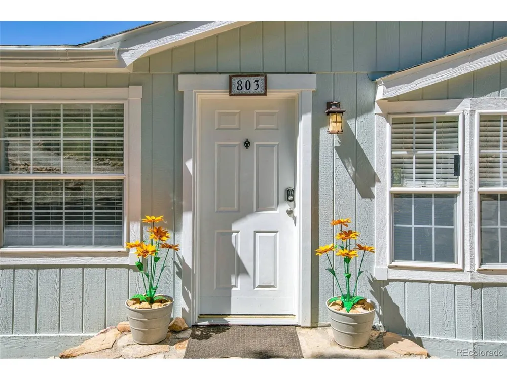 803 Bonell Drive Fairplay, CO 80440