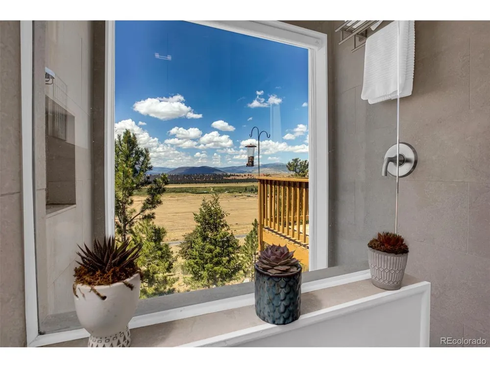 803 Bonell Drive Fairplay, CO 80440