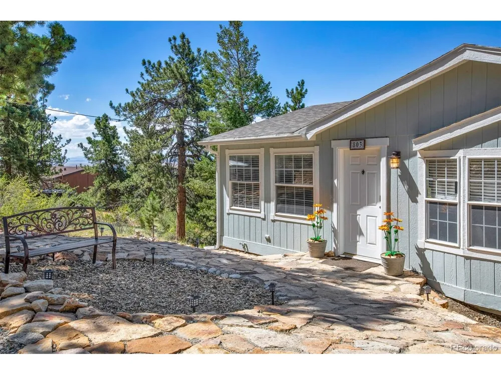 803 Bonell Drive Fairplay, CO 80440