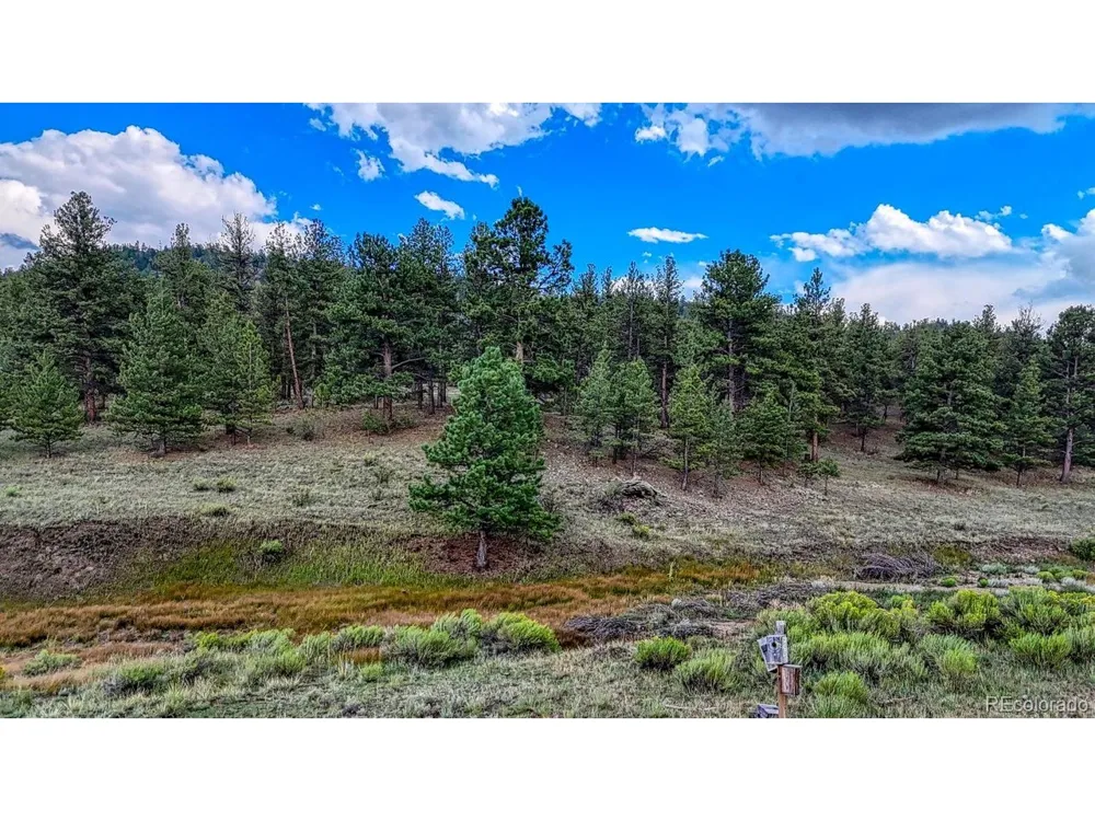 308 Dilley Lane Westcliffe, CO 81252