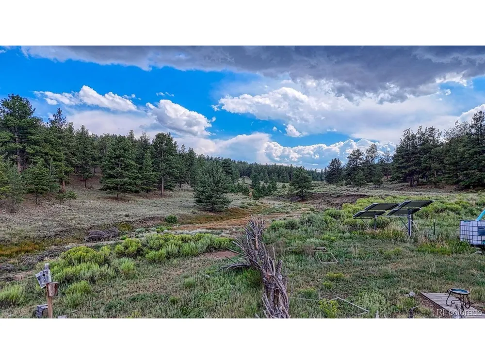 308 Dilley Lane Westcliffe, CO 81252