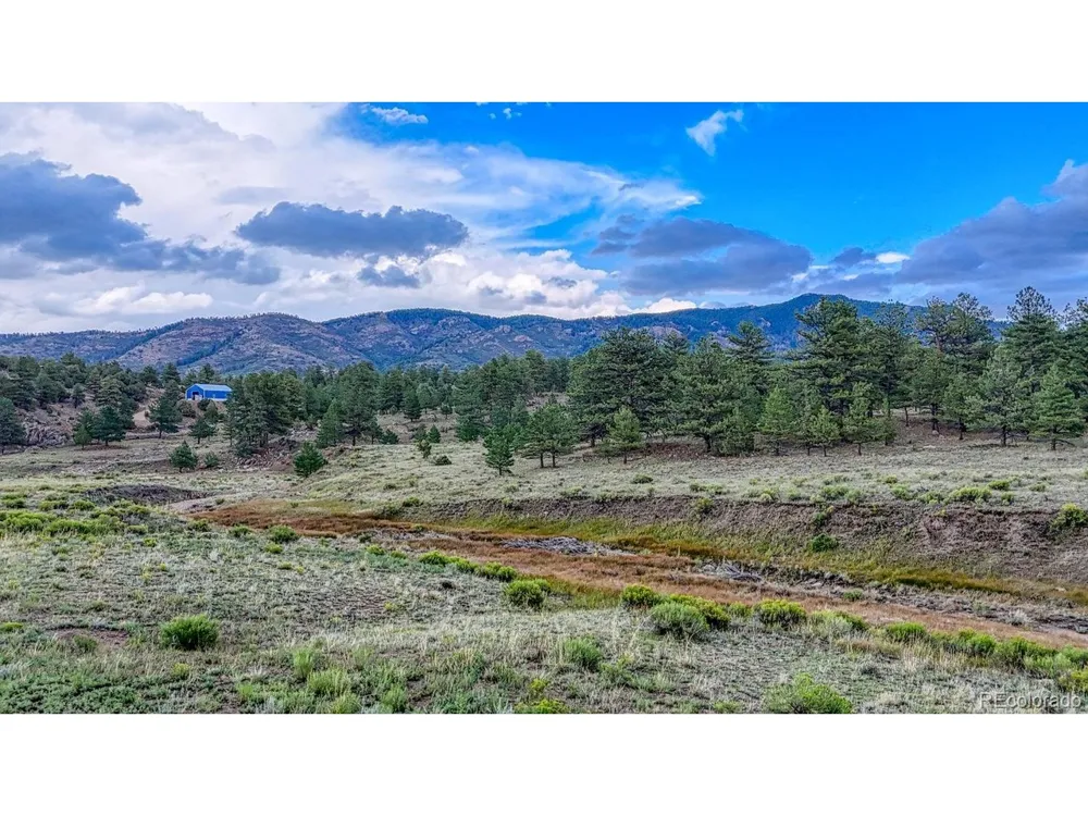 308 Dilley Lane Westcliffe, CO 81252