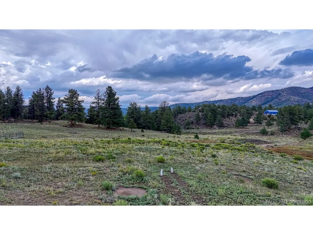 308 Dilley Lane Westcliffe, CO 81252