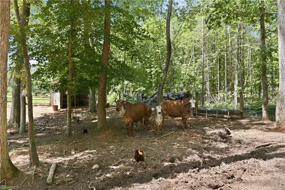6407 Vedic Drive Whitsett, NC 27377