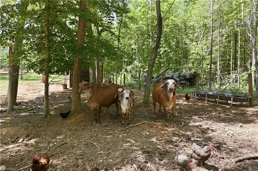 6407 Vedic Drive Whitsett, NC 27377
