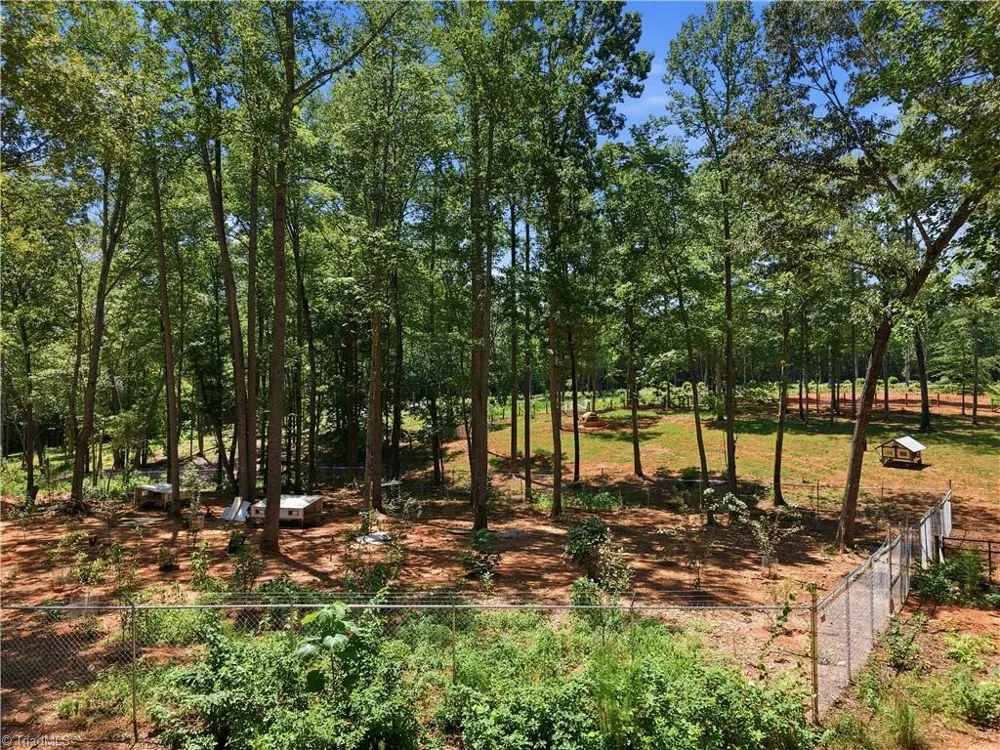 6407 Vedic Drive Whitsett, NC 27377