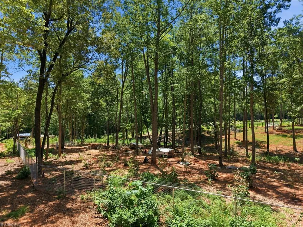 6407 Vedic Drive Whitsett, NC 27377