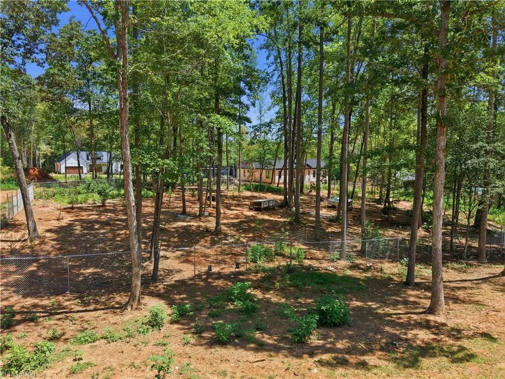 6407 Vedic Drive Whitsett, NC 27377