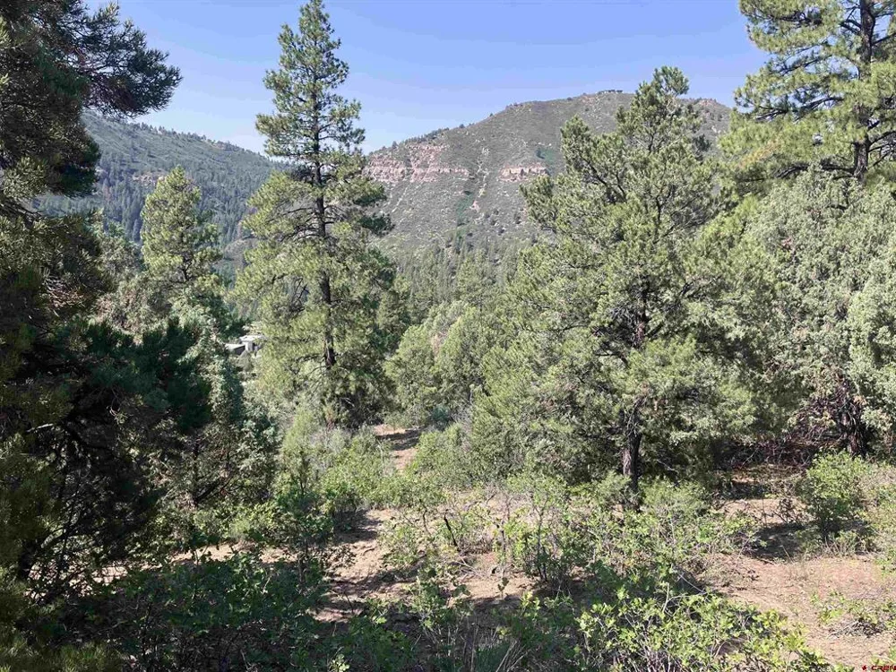 104 Winterberry Court Durango, CO 81301