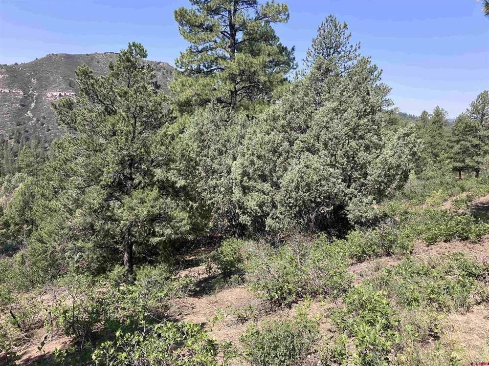 104 Winterberry Court Durango, CO 81301