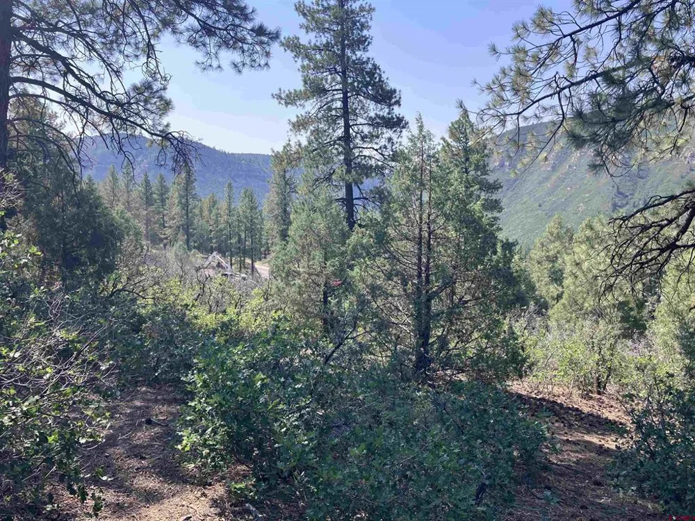 104 Winterberry Court Durango, CO 81301