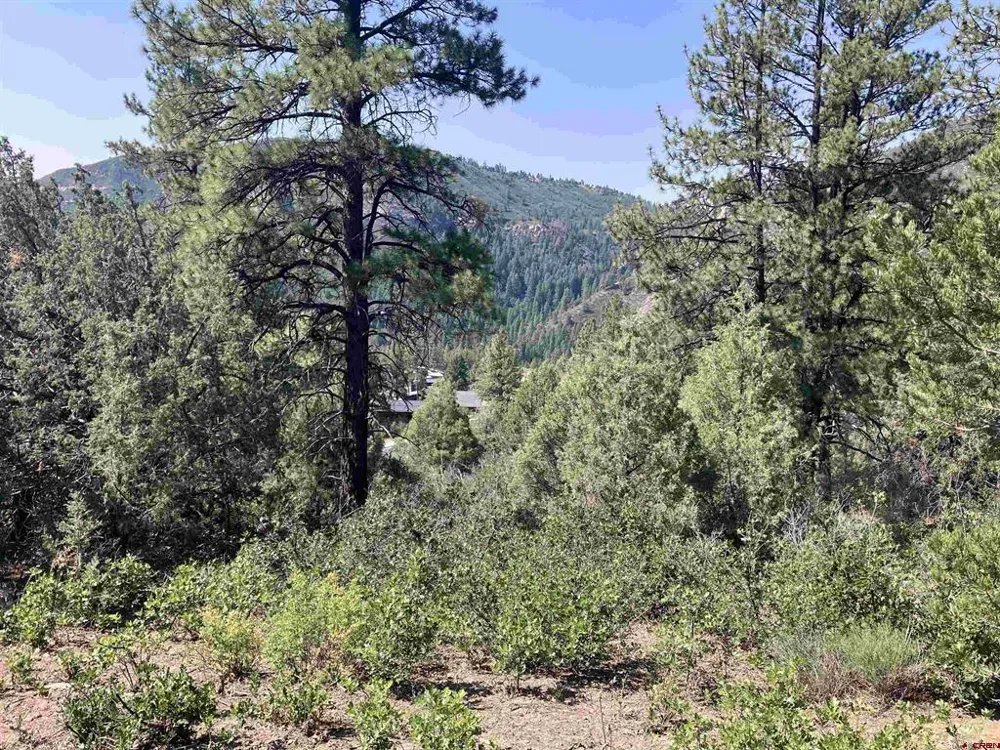 104 Winterberry Court Durango, CO 81301