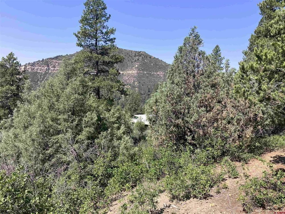 104 Winterberry Court Durango, CO 81301