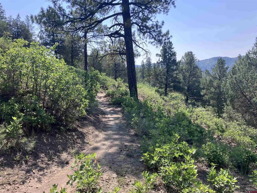 104 Winterberry Court Durango, CO 81301