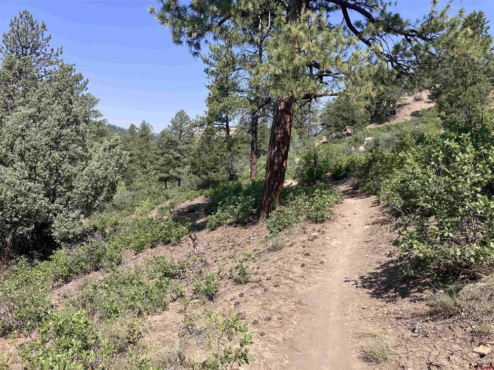 104 Winterberry Court Durango, CO 81301