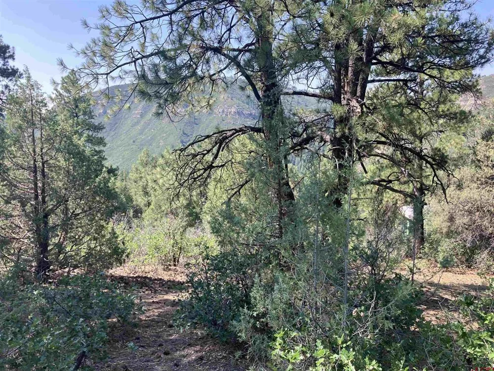 104 Winterberry Court Durango, CO 81301