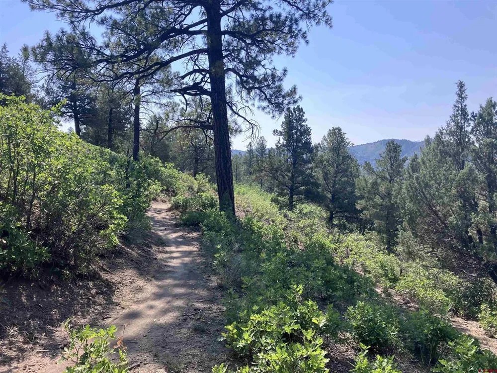 104 Winterberry Court Durango, CO 81301