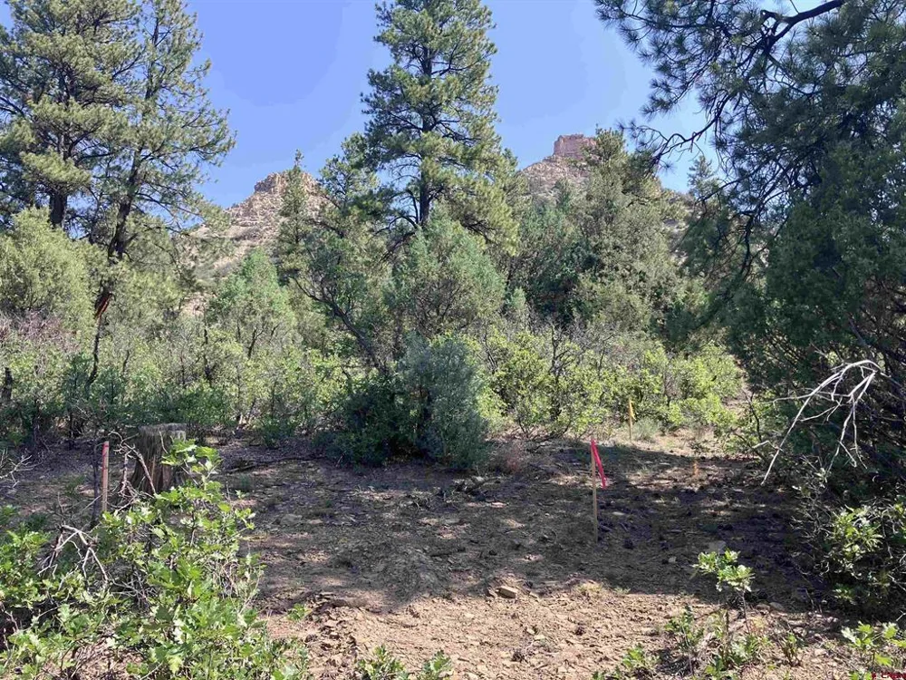 104 Winterberry Court Durango, CO 81301