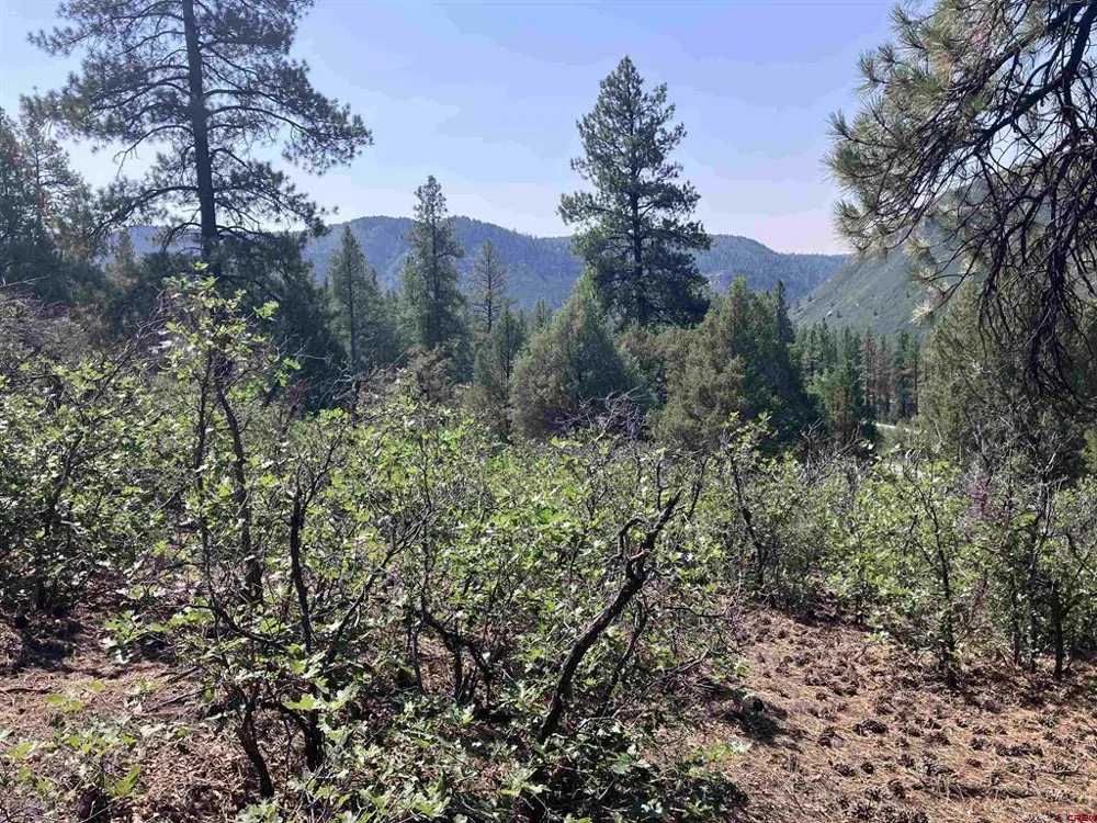 104 Winterberry Court Durango, CO 81301