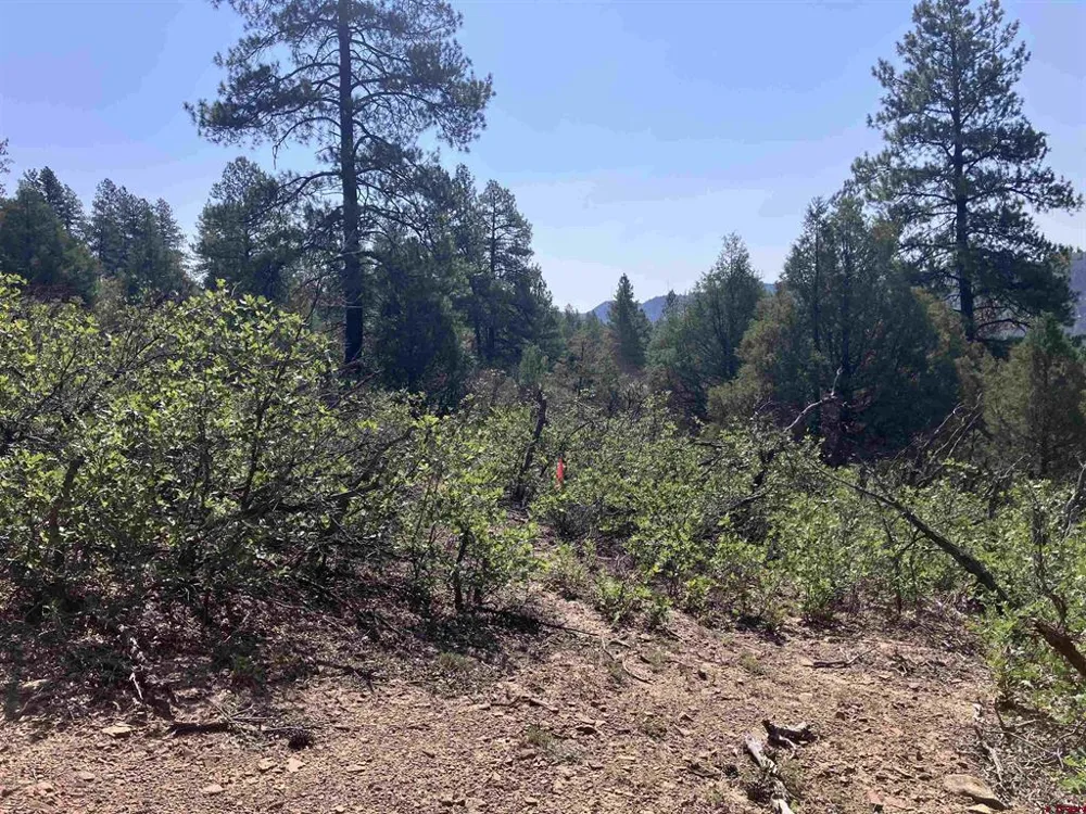 104 Winterberry Court Durango, CO 81301