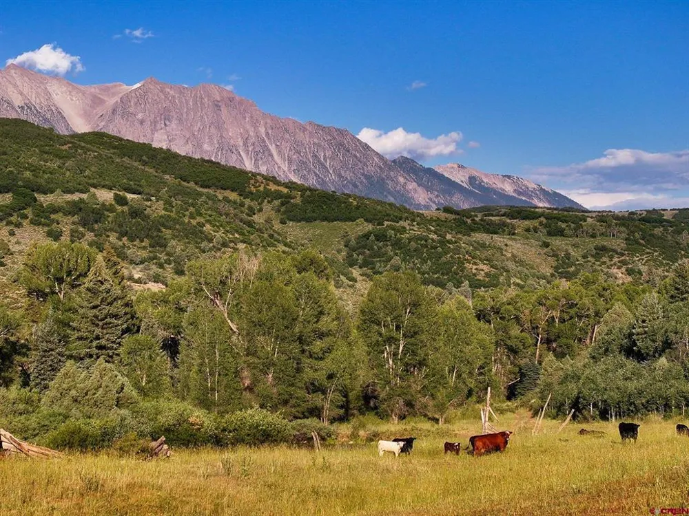 16001 Highway 133 Somerset, CO 81434