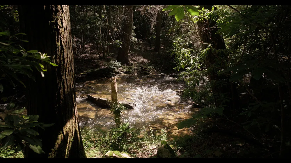Barker Camp Road Dunlap, TN 37327