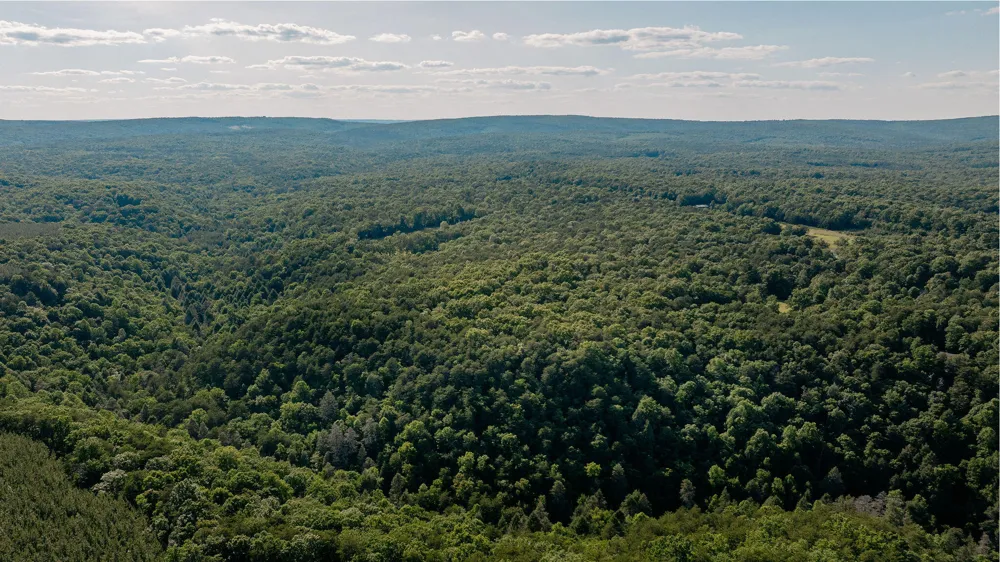 Barker Camp Road Dunlap, TN 37327