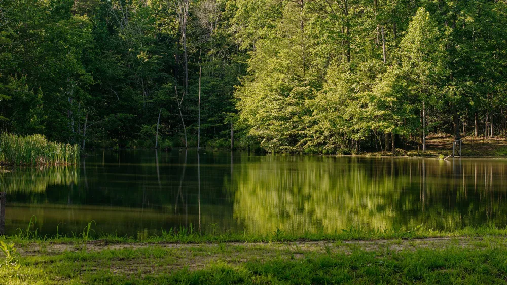 Barker Camp Road Dunlap, TN 37327