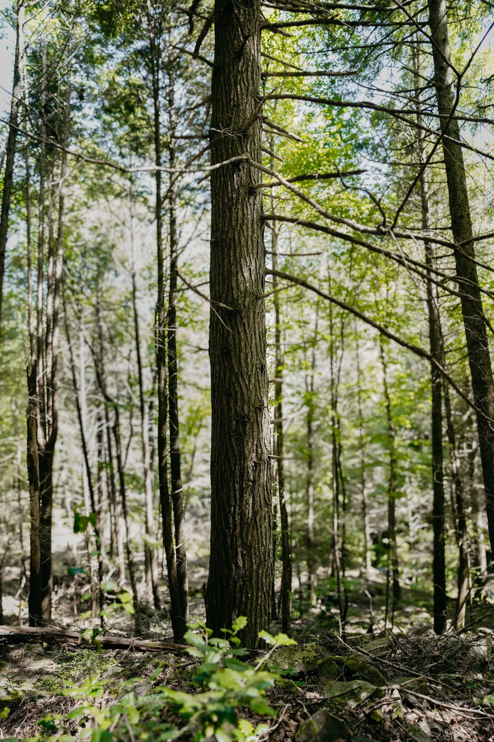 Barker Camp Road Dunlap, TN 37327