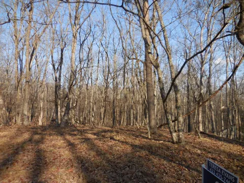 133 Greenbrier Loop