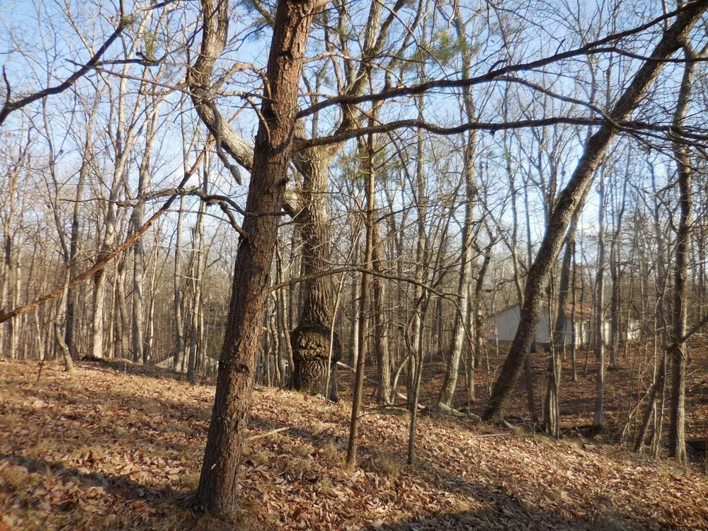 133 Greenbrier Loop Crossville, TN 38558