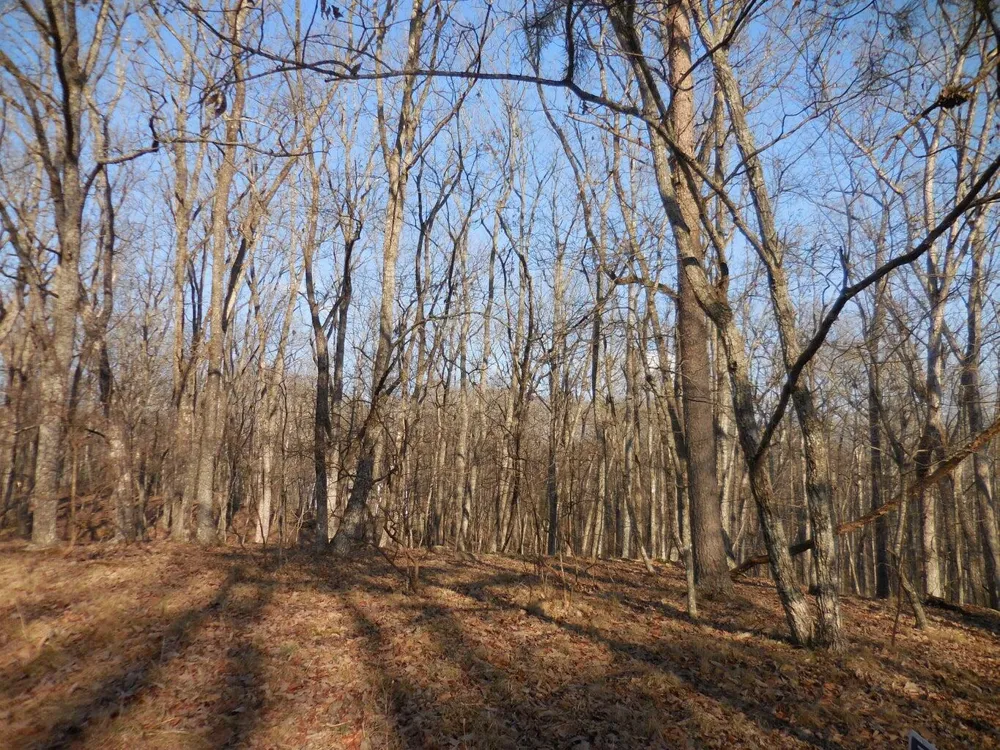 133 Greenbrier Loop Crossville, TN 38558
