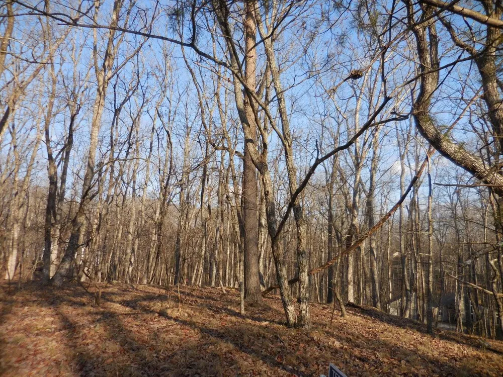 133 Greenbrier Loop Crossville, TN 38558