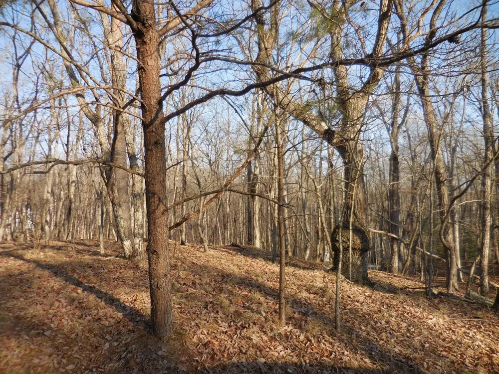 133 Greenbrier Loop Crossville, TN 38558