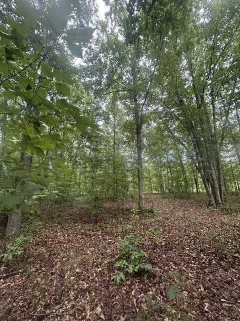 198 Kyuga Drive South Pittsburg, TN 37380
