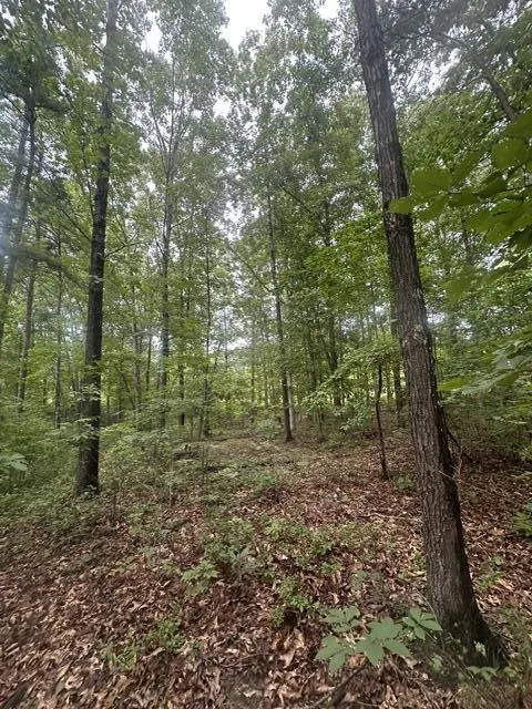 198 Kyuga Drive South Pittsburg, TN 37380