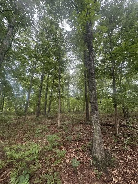 198 Kyuga Drive South Pittsburg, TN 37380