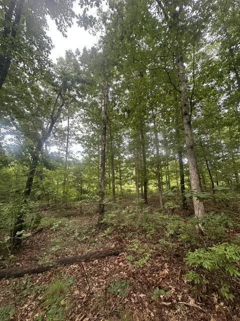 198 Kyuga Drive South Pittsburg, TN 37380