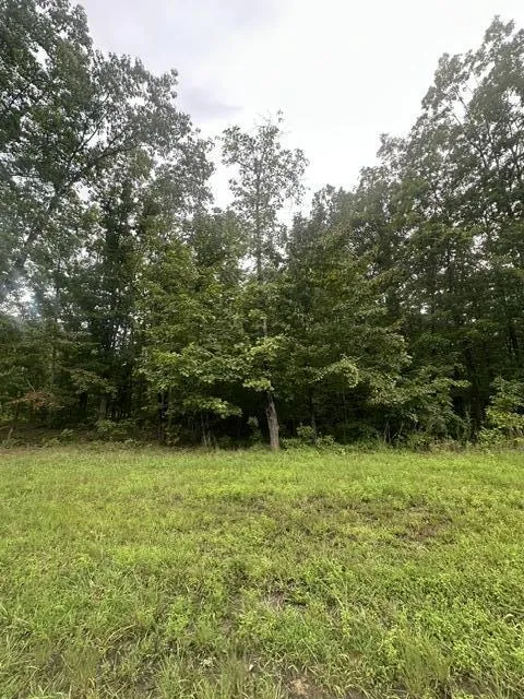 198 Kyuga Drive South Pittsburg, TN 37380