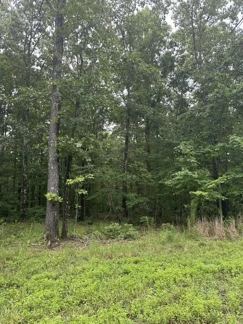 198 Kyuga Drive South Pittsburg, TN 37380