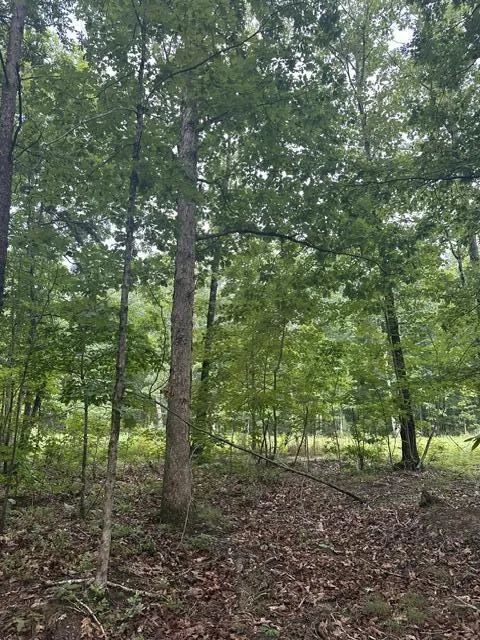 198 Kyuga Drive South Pittsburg, TN 37380